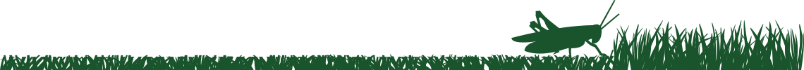 Commercial property maintenance in syracuse ny